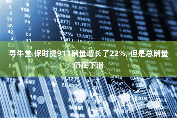 寻牛堂 保时捷911销量增长了22%, 但是总销量仍在下滑